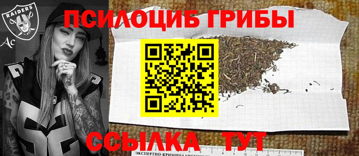 Псилоцибиновые грибы Psilocybine cubensis Ухта