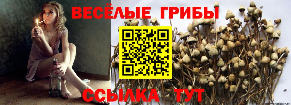 Галлюциногенные грибы мицелий  Вход с VPN  Ухта  Галлюциногенные грибы мицелий 